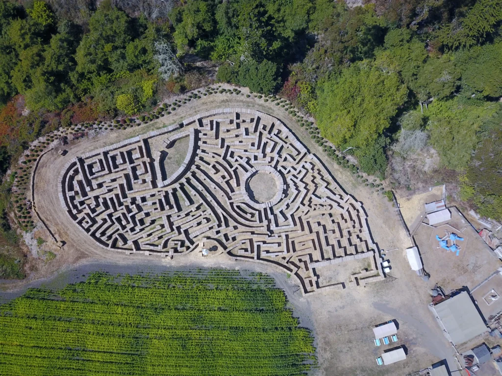 arata-pumkin-farm-maze-1