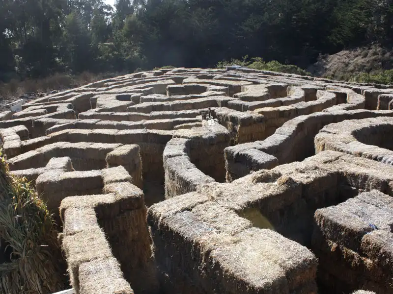 arata-pumkin-farm-maze-3