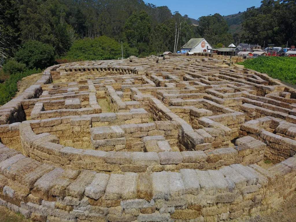 arata-pumkin-farm-maze-5