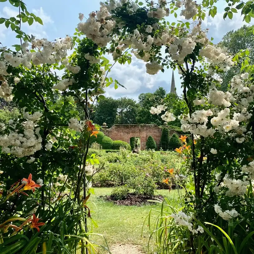 bridge-end-garden-yew-hedge-maze-2