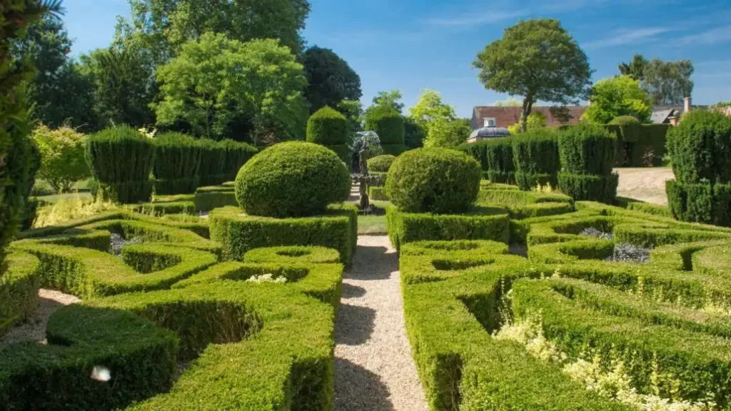 bridge-end-garden-yew-hedge-maze-7