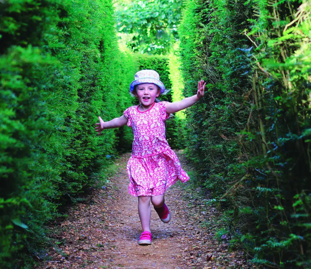 bridge-end-garden-yew-hedge-maze-8