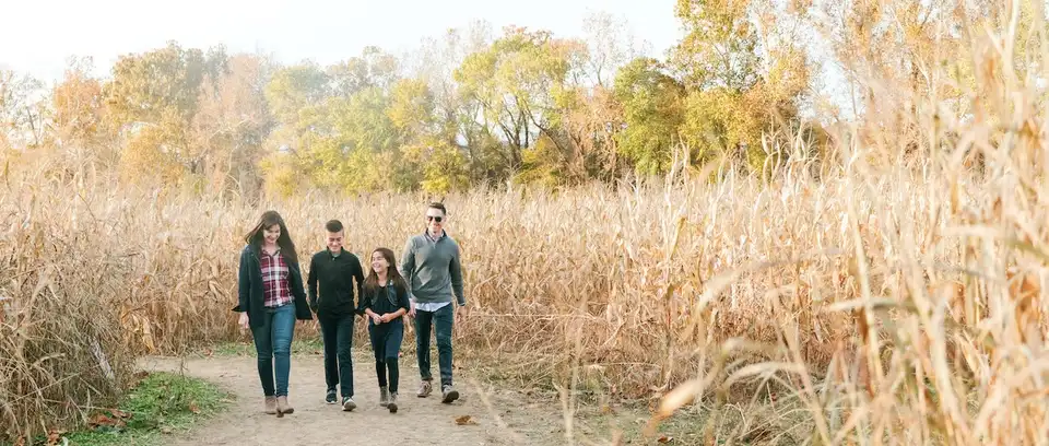 brookdale-farm-maze-1