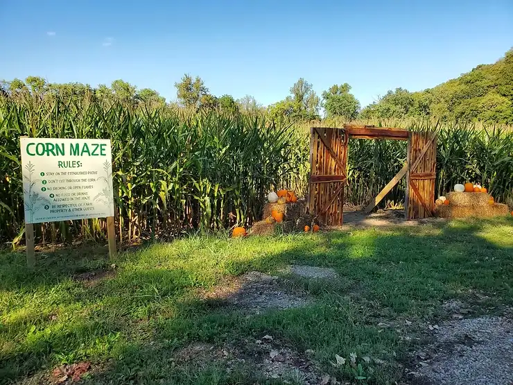 brookdale-farm-maze-12
