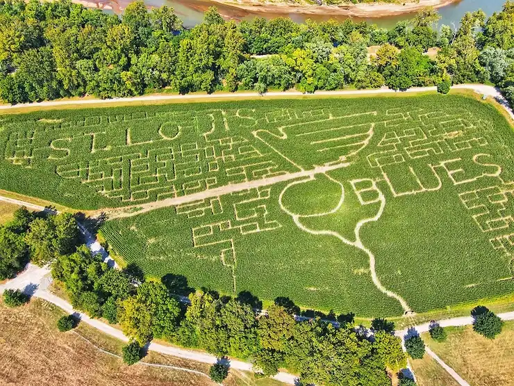 brookdale-farm-maze-8