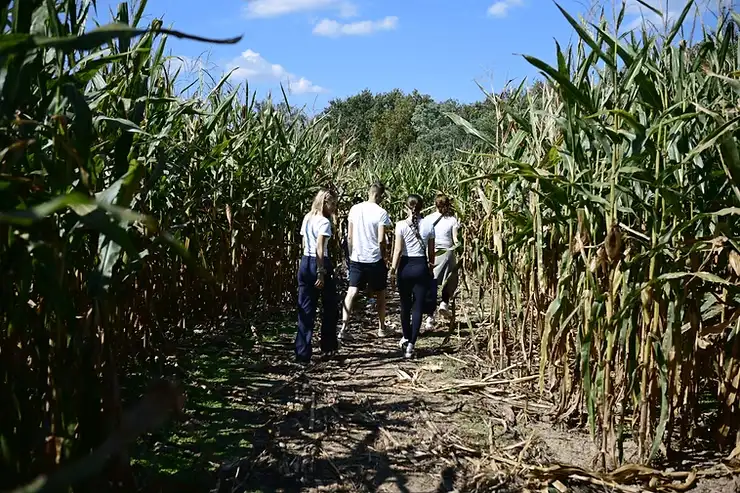 brookdale-farm-maze-9