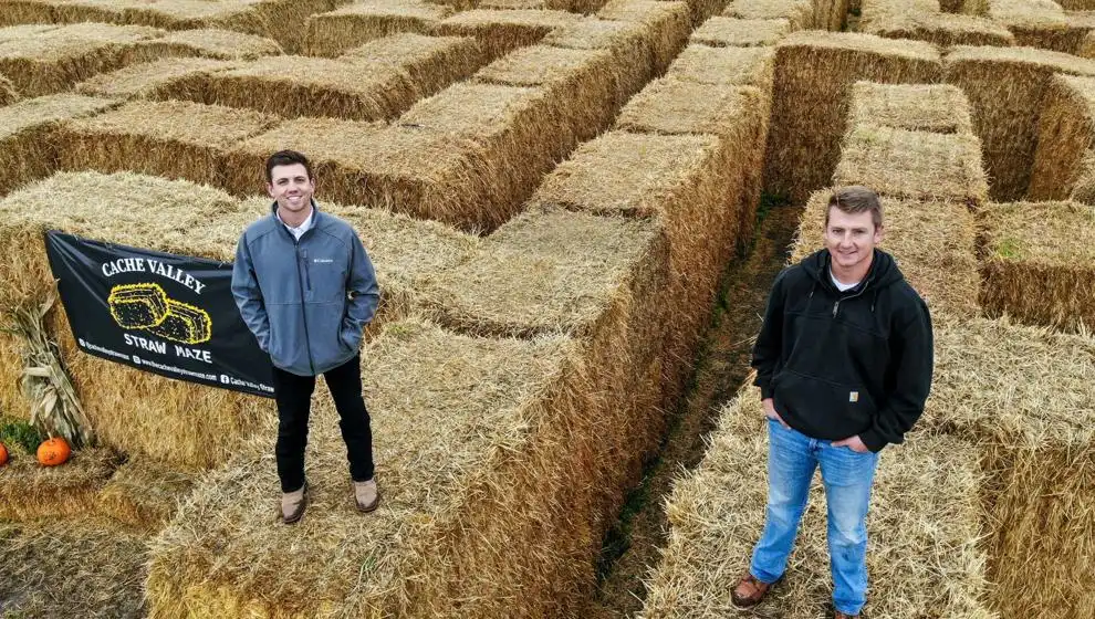 cache-valley-straw-maze-12