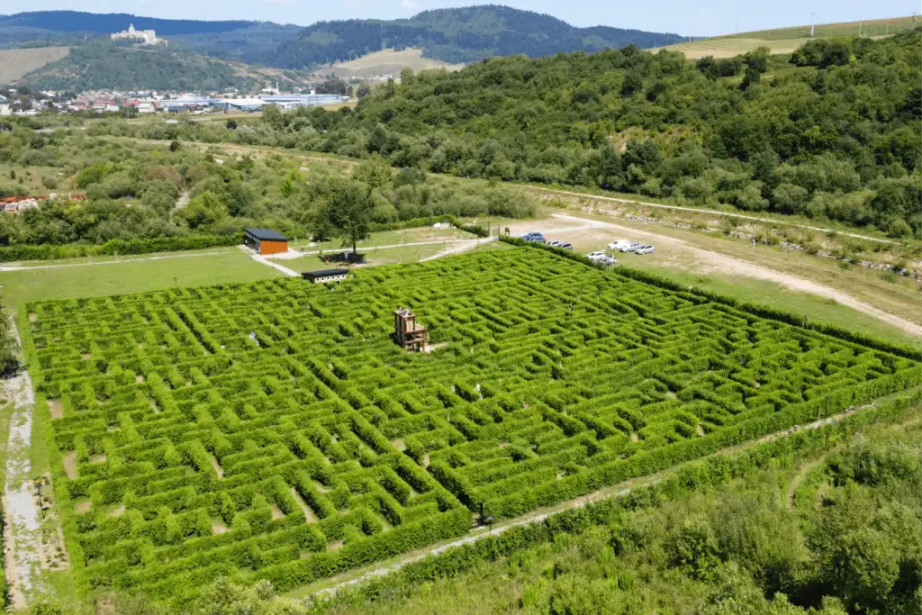 devils-rock-hedge-maze-1