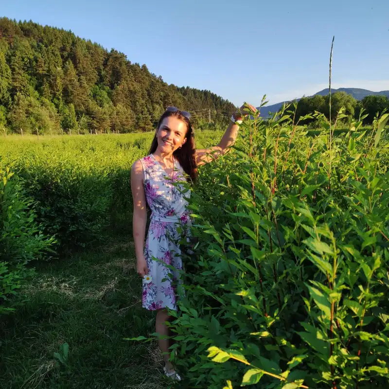 devils-rock-hedge-maze-4