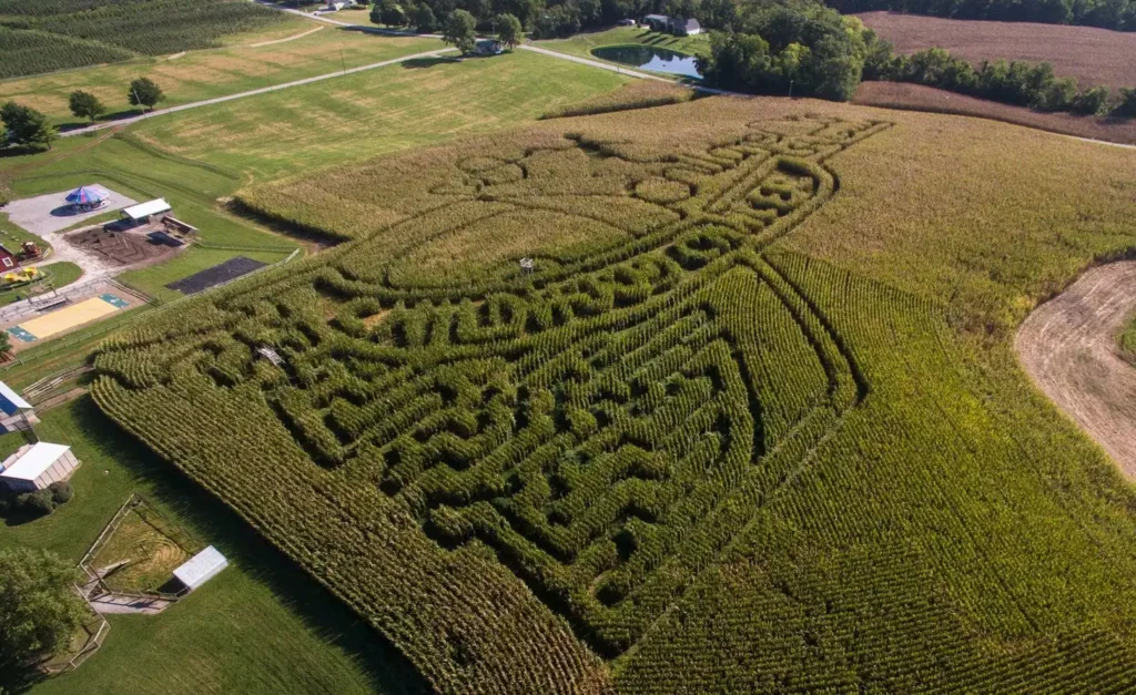 eckerts-millstadt-fun-farm-maze-1