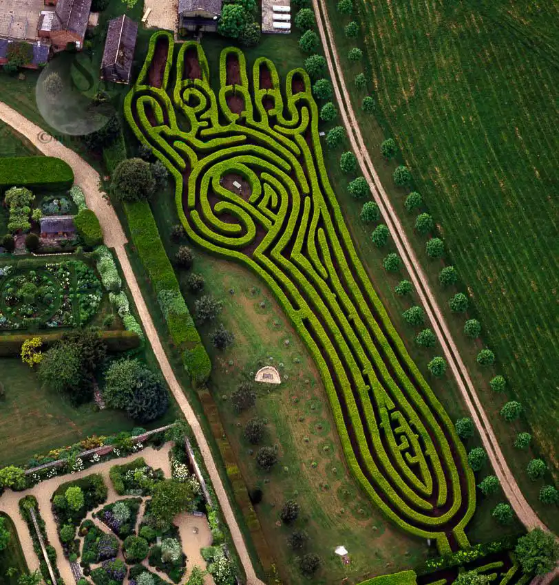 foot-maze-at-conholt-park-2