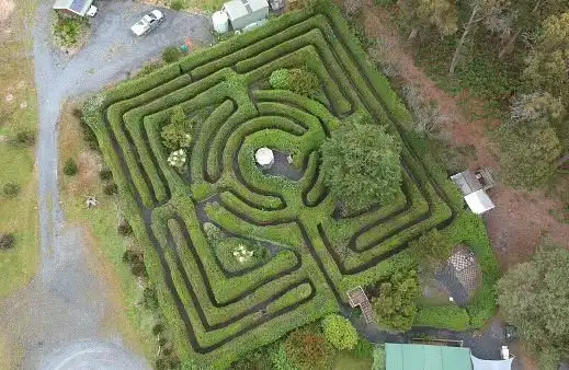 glengarry-bush-maze-1
