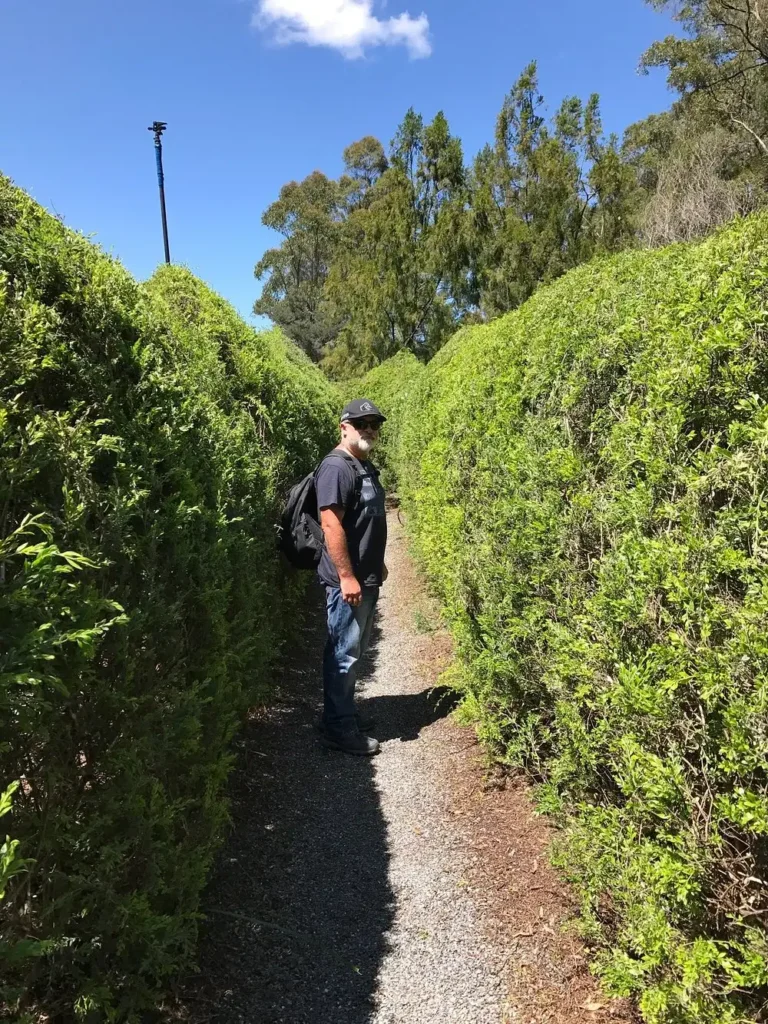 glengarry-bush-maze-3