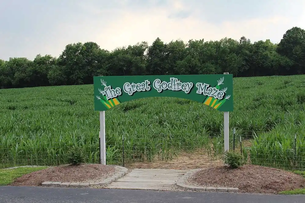 great-godfrey-maze-1