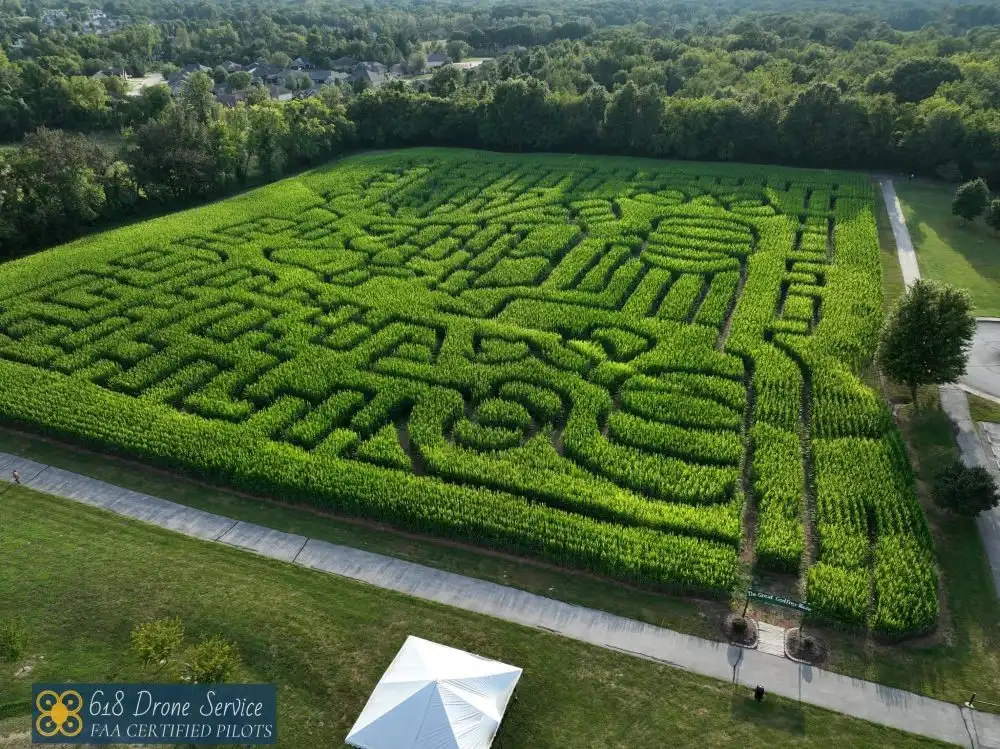 great-godfrey-maze-2