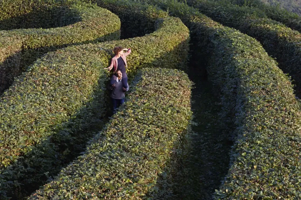 labyrinth-masino-castle-3