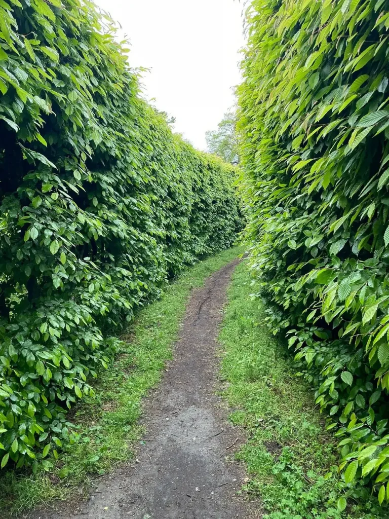 labyrinth-masino-castle-7