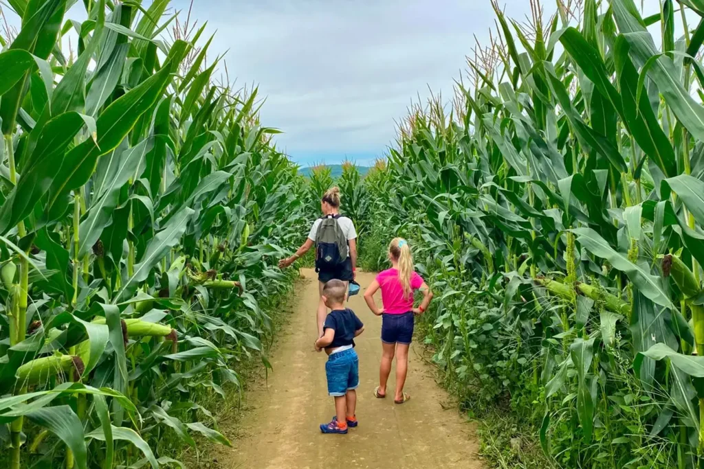 le-grand-labyrinthe-de-lanaudière-4