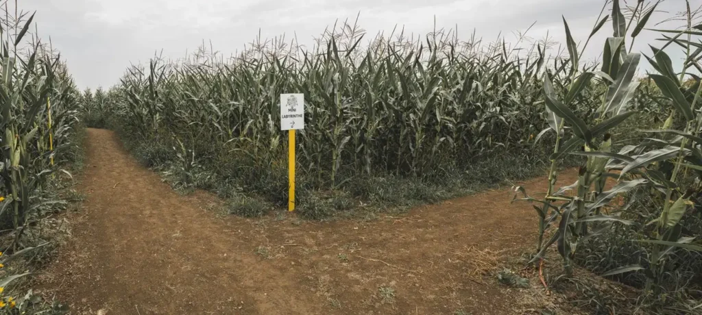 le-grand-labyrinthe-de-lanaudière-6