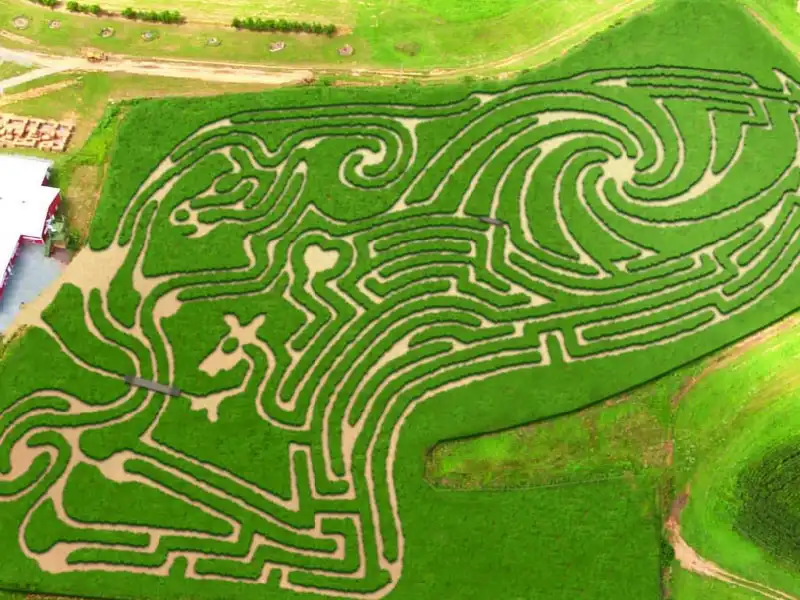 maize-quest-fun-park-2