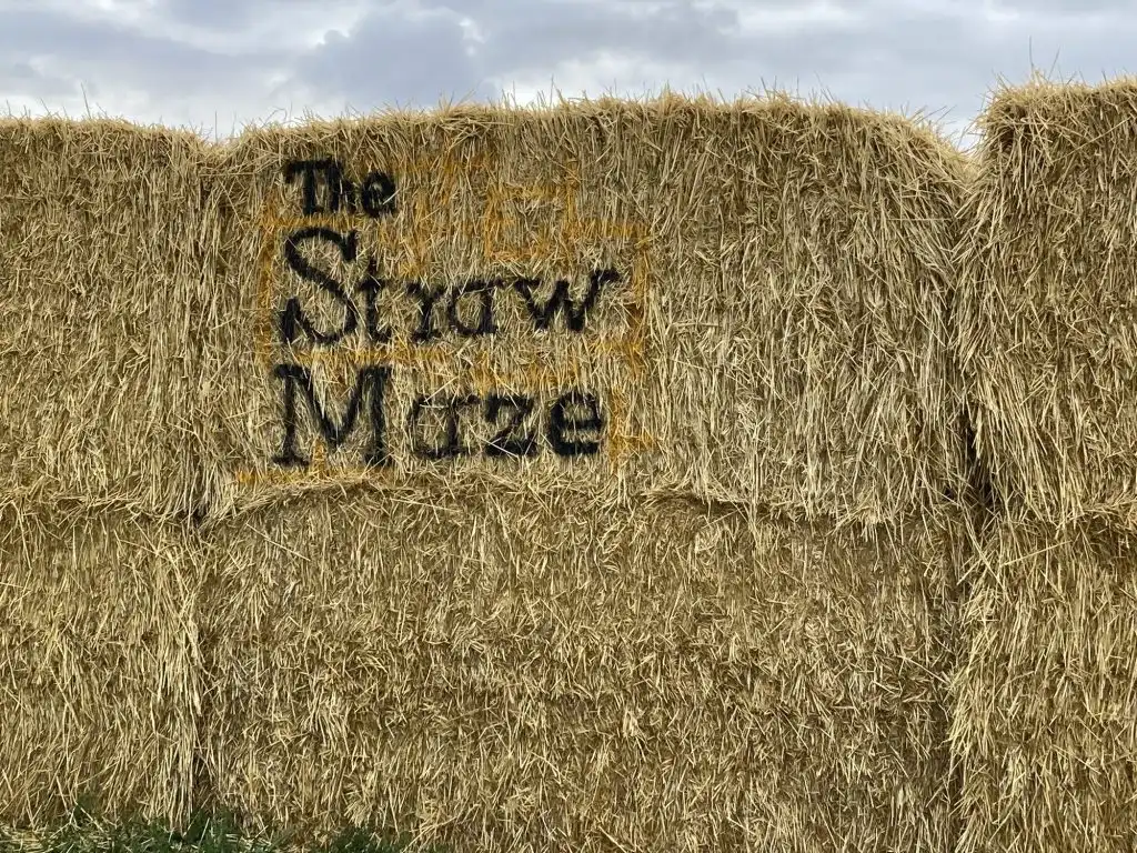 rexburgs-original-straw-maze-8