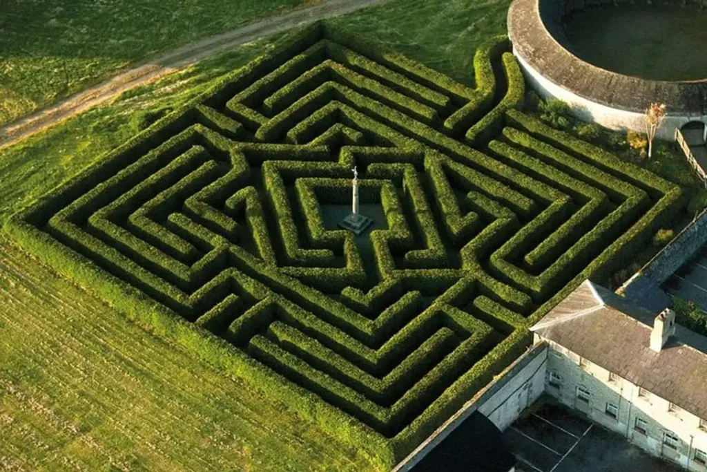russborough-maze-3
