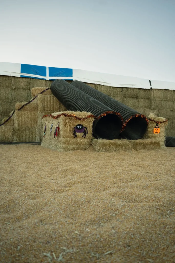 the-escape-straw-maze-3