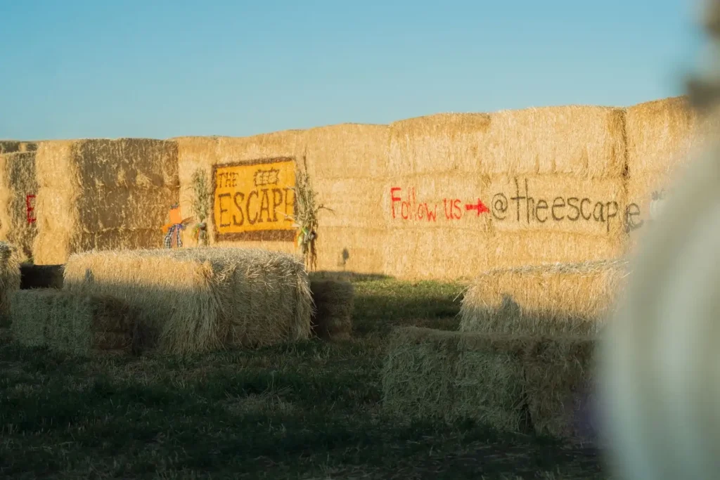 the-escape-straw-maze-4