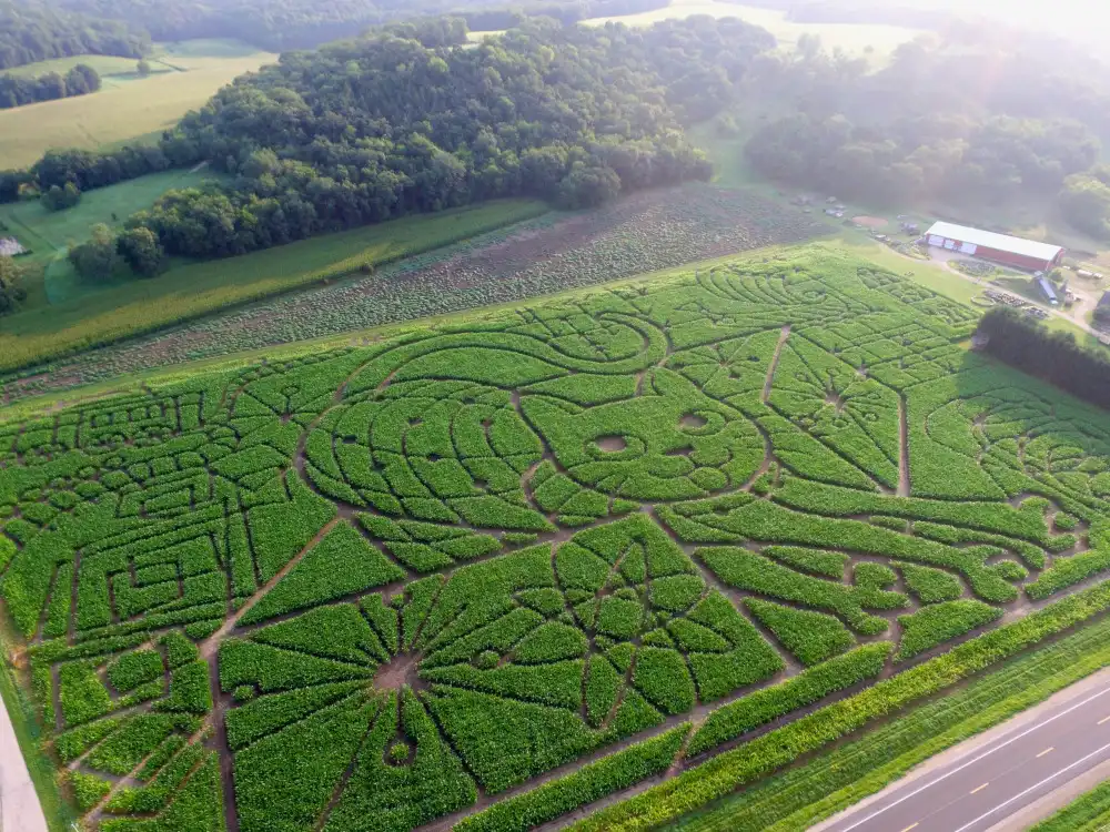 treinen-farm-maze-5