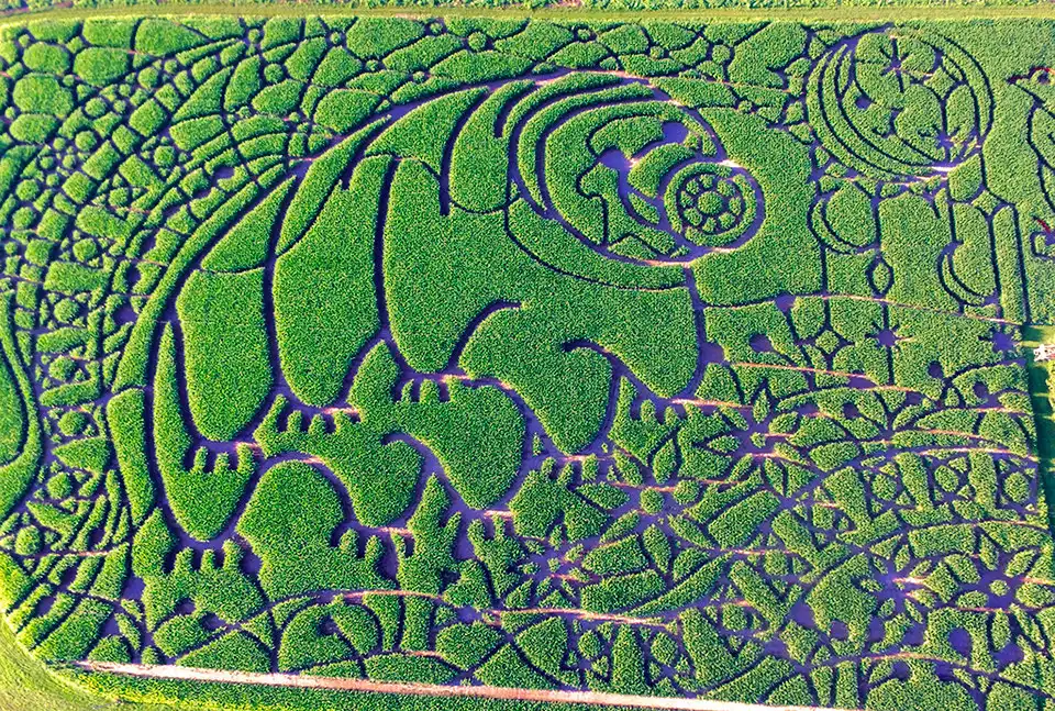treinen-farm-maze-6