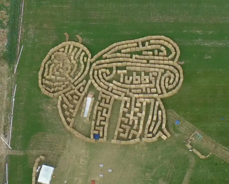 tubbs-berry-farm-straw-maze-6
