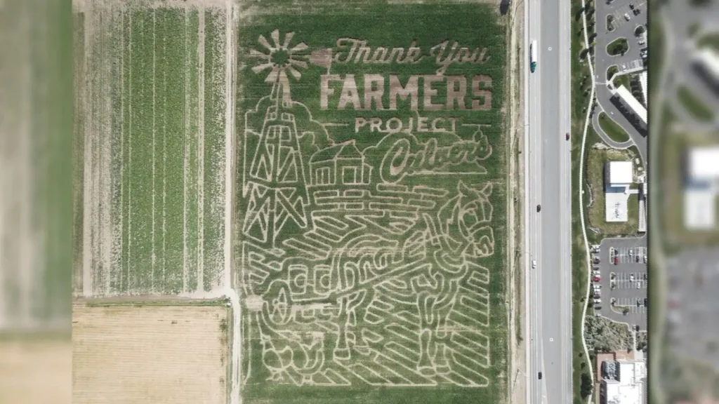 twin-falls-corn-maze-6