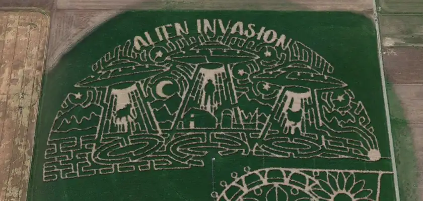 wild-adventure-corn-maze-1