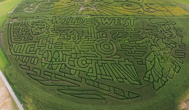 wild-adventure-corn-maze-4
