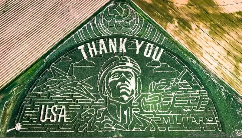 wild-adventure-corn-maze-5