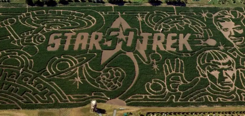 wild-adventure-corn-maze-8