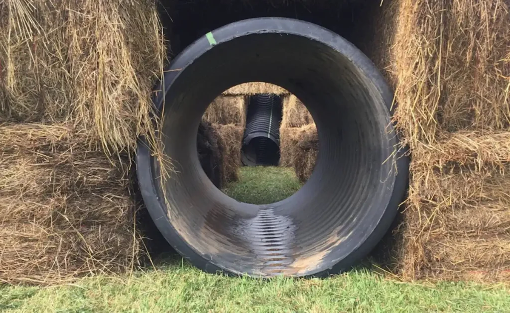 brown-hill-farms-corn-maze-5