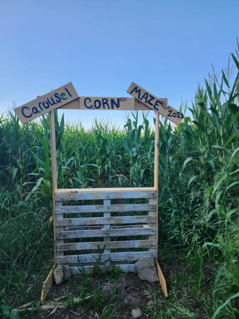 carousel-corn-maze-5