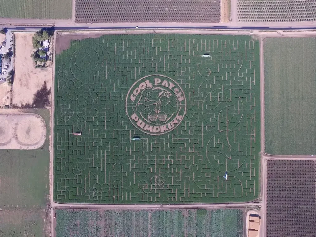 cool-patch-pumpkins-maze-5