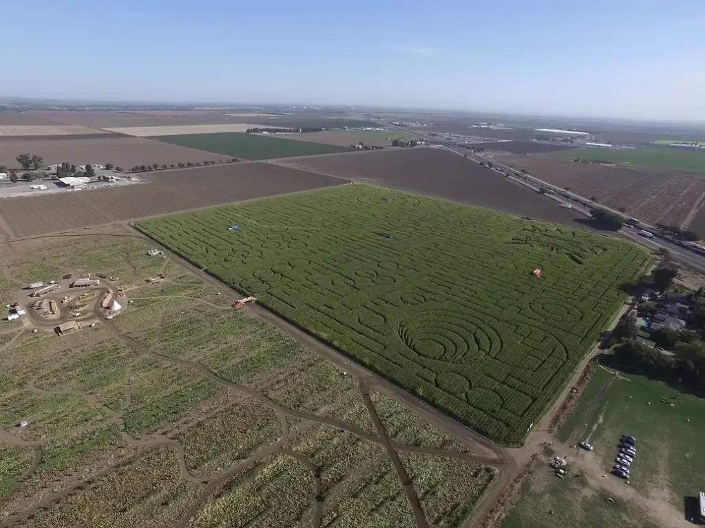 cool-patch-pumpkins-maze-6