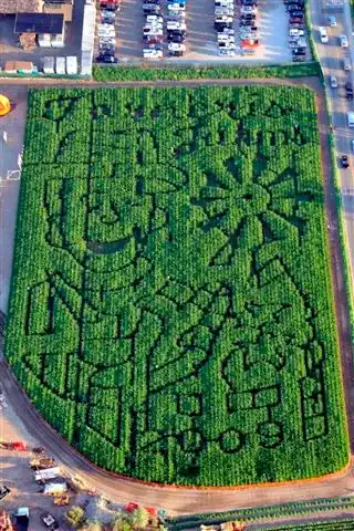 forneris-farms-corn-maze-3