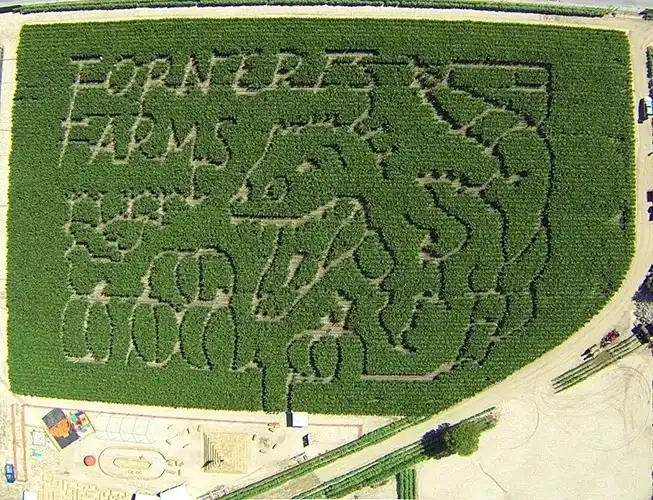 forneris-farms-corn-maze-8