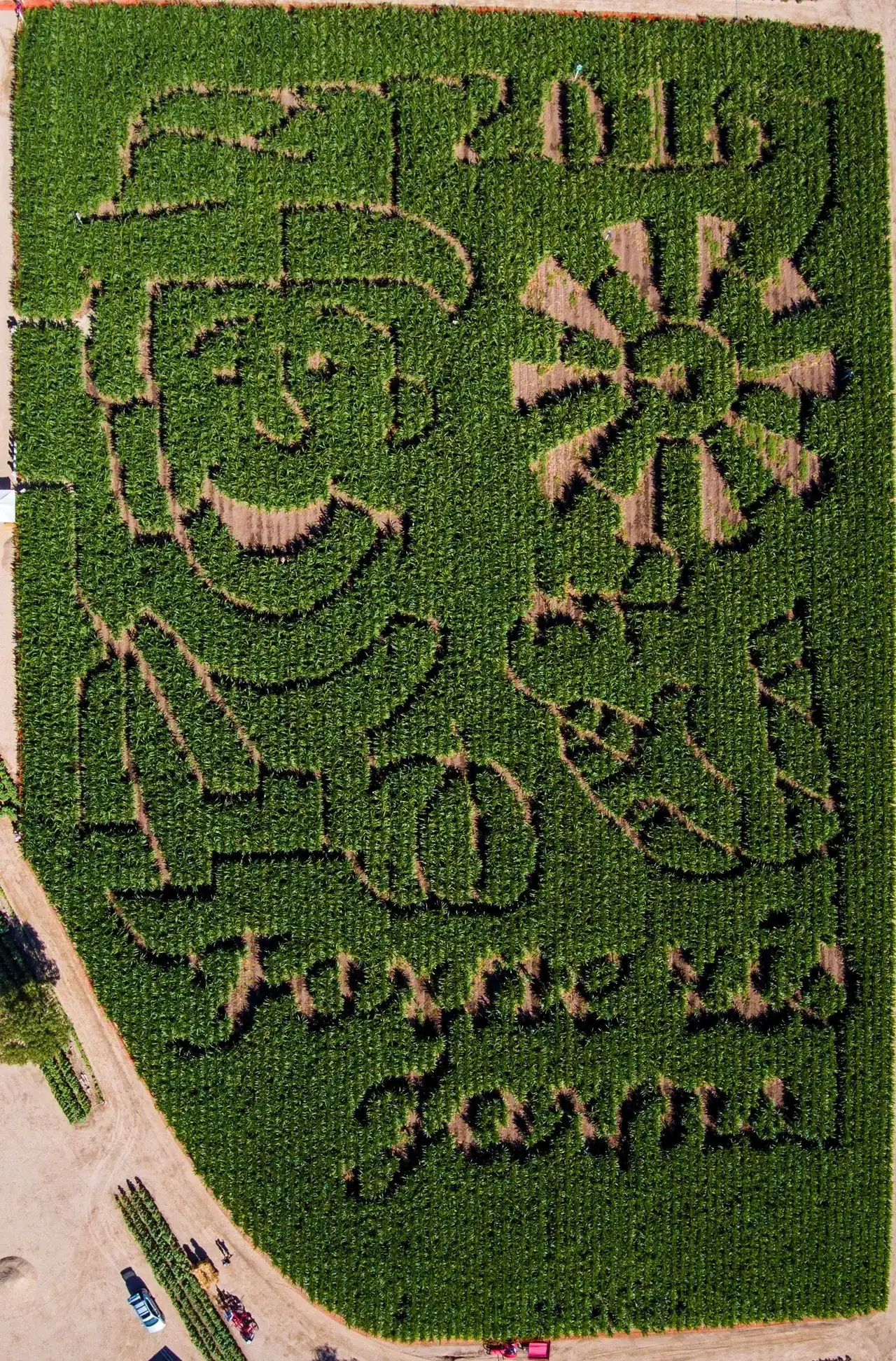 forneris-farms-corn-maze-9