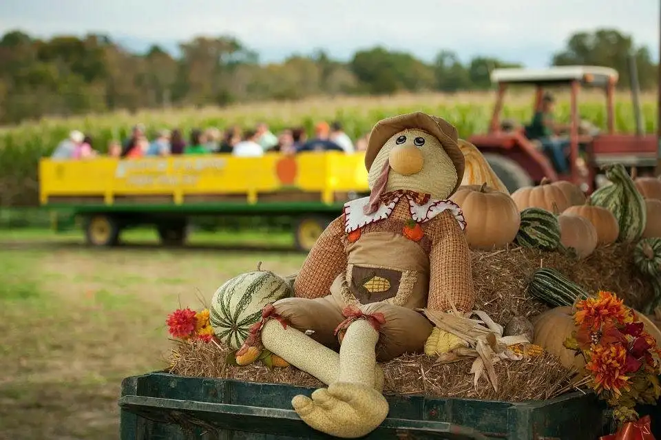 kyker-farms-corn-maze-4