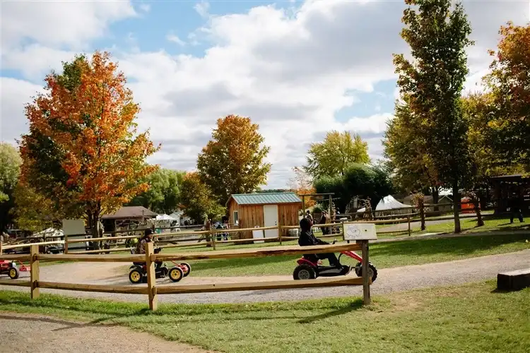 long-acre-farms-maze-11