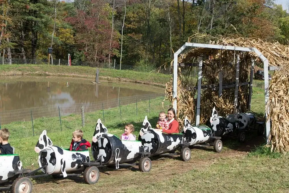 maylath-farm-orchard-maze-6