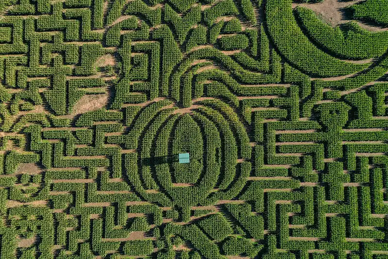 mazezilla-maze-2