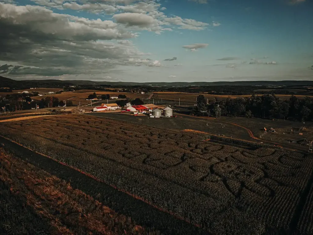 rohrbachs-farm-maze-7
