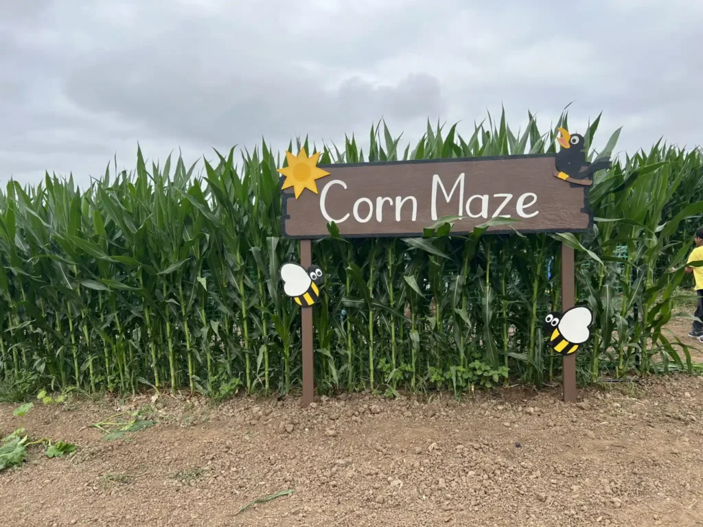 tanaka-farms-corn-maze-1