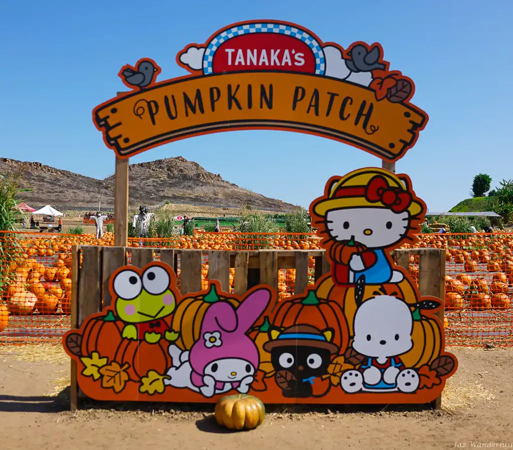 tanaka-farms-corn-maze-5